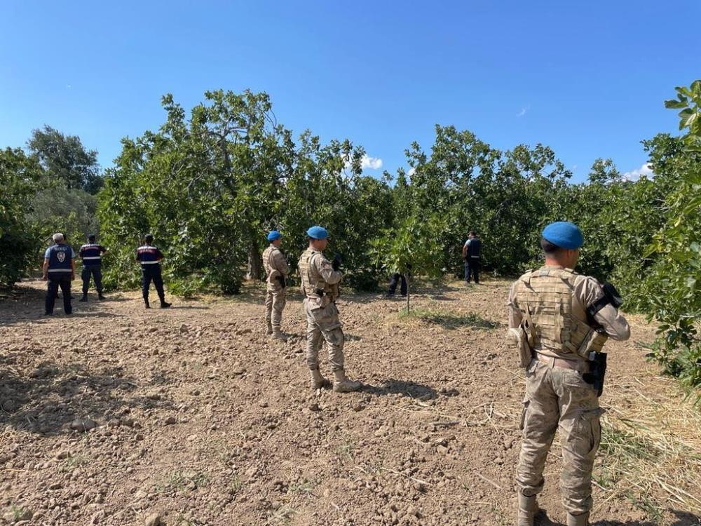 Havran’da meyve bahçelerini Jandarma komando timleri koruyor