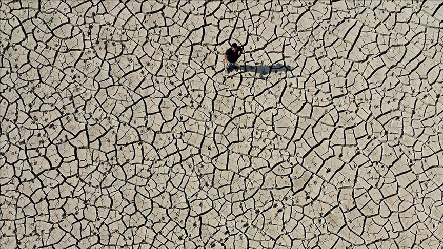 “Mil kuraklığı” tarım alanı ve meraları etkiledi